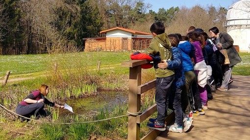 Parco Pineta, il Centro didattico scientifico apre le porte a centri estivi e oratori
