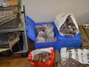La droga sequestrata dalla polizia di Stato