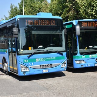 FNMA assume autisti: costi patente a carico azienda e premio di 3.000 euro