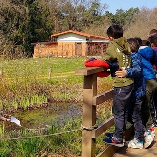 Parco Pineta, il Centro didattico scientifico apre le porte a centri estivi e oratori