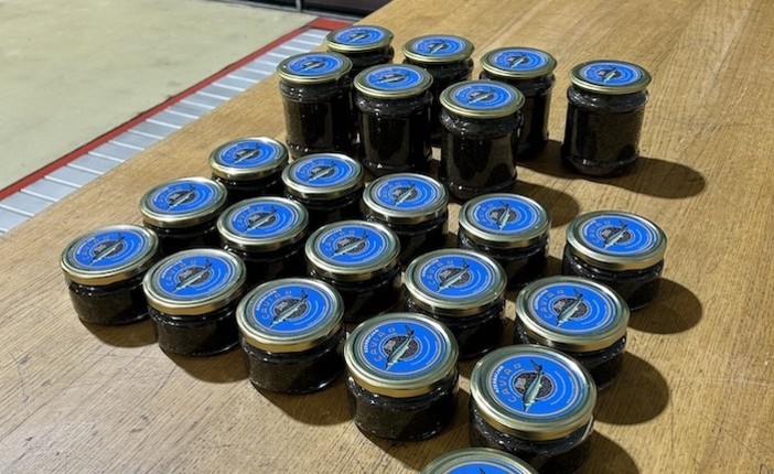 Contrabbando di alimentari in dogana tra Italia e Canton Ticino: fermati con alcolici, carne e caviale Contrabbando di alimentari in dogana tra Italia e Canton Ticino: fermati con alcolici, carne e caviale