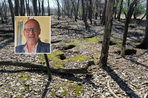Assedio dei conigli nel Parco Alto Milanese: l'appello per un nuovo equilibrio
