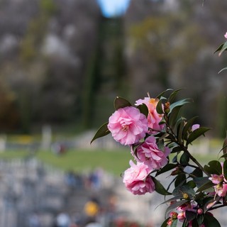 Villa Della Porta Bozzolo Foto Maurizio Sbrozzi 2023 © FAI