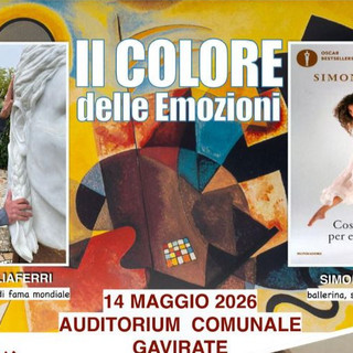 A Gavirate una giornata di arte e inclusione con "Il colore delle emozioni"