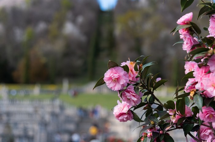 Villa Della Porta Bozzolo Foto Maurizio Sbrozzi 2023 © FAI
