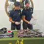 Nascondeva 20 chili di hashish nelle borse della spesa e nel vano della ruota di scorta. Arrestato dalla Gdf un trafficante di droga italiano Nascondeva 20 chili di hashish nelle borse della spesa e nel vano della ruota di scorta. Arrestato dalla Gdf un trafficante di droga italiano