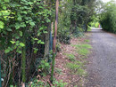 La situazione di via Vignacce a Gavirate La situazione di via Vignacce a Gavirate
