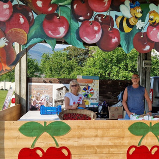 Non è primavera a Gavirate senza la Festa delle Ciliegie e l'immancabile gara della "Spudagianda"