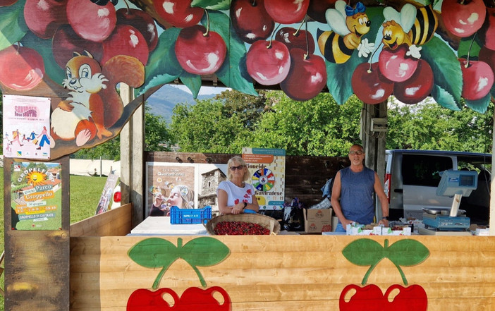 Non è primavera a Gavirate senza la Festa delle Ciliegie e l'immancabile gara della "Spudagianda"