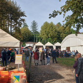 La Festa della Zucca sul lungolago di Gavirate