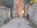 La storia di Abel, il ragazzo nigeriano che cura il verde pubblico a Luino e nel territorio La storia di Abel, il ragazzo nigeriano che cura il verde pubblico a Luino e nel territorio