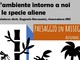 Le specie "aliene" protagoniste di un incontro pubblico a Ispra Le specie "aliene" protagoniste di un incontro pubblico a Ispra
