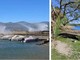 VIDEO e FOTO. Le folate di vento sferzano il lago Maggiore, albero sradicato ad Angera