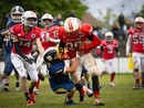 I Gorillas Varese a Segrate per l’ultima trasferta della regular season: domenica sfida cruciale contro i Rams Milano