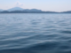 Anche il lago Maggiore ha il suo Mostro di Lochness? Una storia tra miti, leggende e avvistamenti