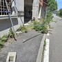 Palazzo di vicolo Landriani: oggi è proprietà privata e videosorvegliata, ma qualcuno la vuole forzare Palazzo di vicolo Landriani: oggi è proprietà privata e videosorvegliata, ma qualcuno la vuole forzare