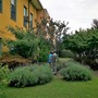 Alla Fondazione Comi di Luino la "Festa del Grazie" per cda e dipendenti
