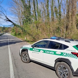 (foto tratta da Luinonotizie.it)