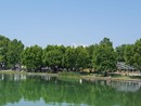 Il lago di Varese che vogliamo: sabato 6 luglio a Gavirate una giornata dedicata al risanamento, ma anche allo sport e alla gastronomia