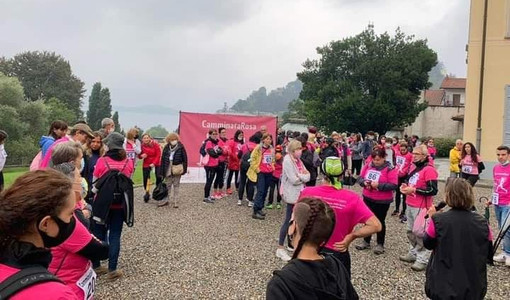 Una delle passate edizioni della Camminata Rosa di Laveno Una delle passate edizioni della Camminata Rosa di Laveno