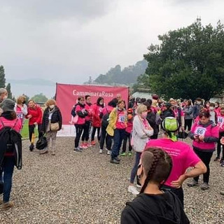 Una delle passate edizioni della Camminata Rosa di Laveno