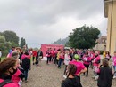 Una delle passate edizioni della Camminata Rosa di Laveno Una delle passate edizioni della Camminata Rosa di Laveno