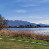 Il lago di Monate
