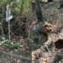 (foto tratta da Luinonotizie.it) (foto tratta da Luinonotizie.it)