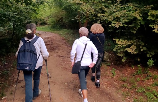 Immersi nella natura, al via a Luvinate i Gruppi di Cammino del sabato mattina