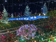 Un antipasto di foto delle passate edizioni delle lucine di Natale di Leggiuno in attesa dell'accensione del 3 dicembre