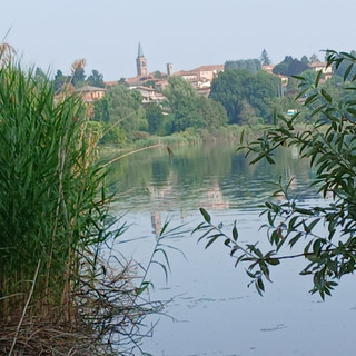 Uno scorcio del lago di Comabbio