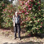 Enrica Gasparini nel suo Labirinto delle Camelie di Laveno Mombello