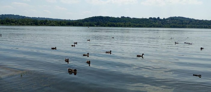 Scorcio del lago di Varese