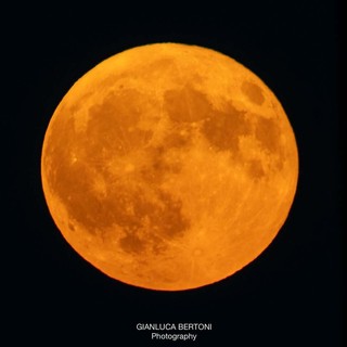 La Luna piena del Cervo vista dalla nostra provincia nello scatto di Gianluca Bertoni