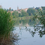 Uno scorcio del lago di Comabbio Uno scorcio del lago di Comabbio