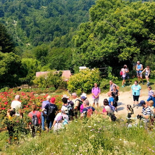 Un'immagine dell'escursione della Pro Loco Laveno a Vararo