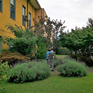 Alla Fondazione Comi di Luino la "Festa del Grazie" per cda e dipendenti