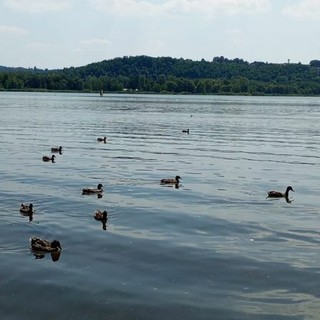 Scorcio del lago di Varese