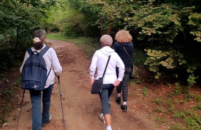 Immersi nella natura, al via a Luvinate i Gruppi di Cammino del sabato mattina Immersi nella natura, al via a Luvinate i Gruppi di Cammino del sabato mattina