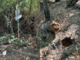 (foto tratta da Luinonotizie.it) (foto tratta da Luinonotizie.it)