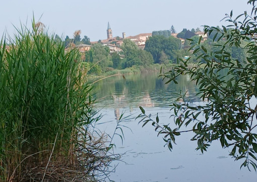 Uno scorcio del lago di Comabbio