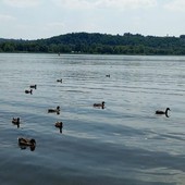 Scorcio del lago di Varese