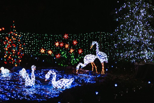 Una delle installazioni degli anni scorsi delle Lucine di Natale di Leggiuno