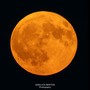 La Luna piena del Cervo vista dalla nostra provincia nello scatto di Gianluca Bertoni