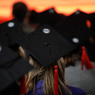 AlmaLaurea 2026, oltre il 90 per cento dei laureati magistrali dell’Università dell’Insubria trova lavoro entro un anno