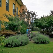 Fondazione Comi di Luino, una sottoscrizione a premi per migliorare la cura degli anziani: grandi premi e un obiettivo concreto Fondazione Comi di Luino, una sottoscrizione a premi per migliorare la cura degli anziani: grandi premi e un obiettivo concreto