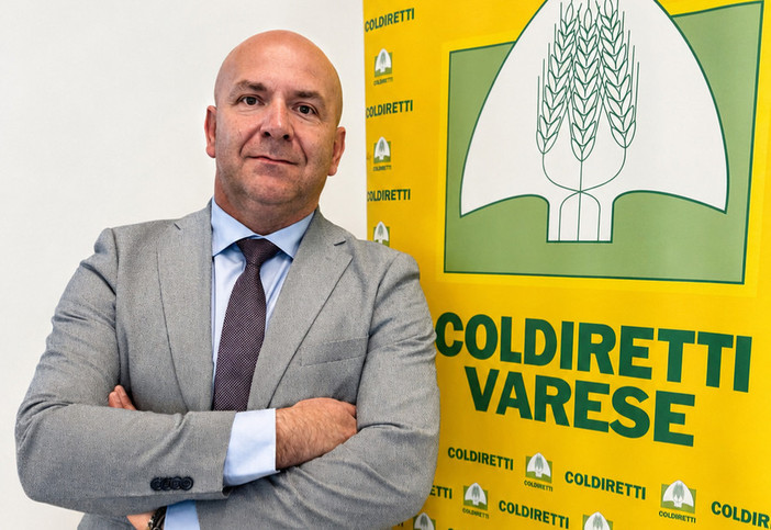 Luciano Salvadori Luciano Salvadori