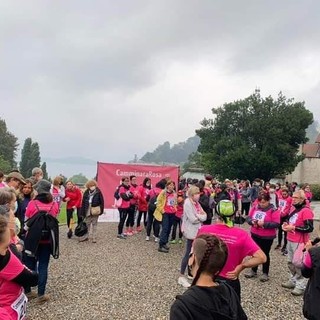 Una delle passate edizioni della Camminata Rosa di Laveno