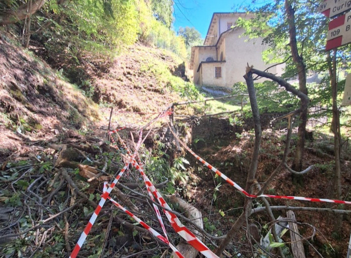 L'albero caduto sulla mulattiera di Monteviasco (foto tratta da Luinonotizie.it)