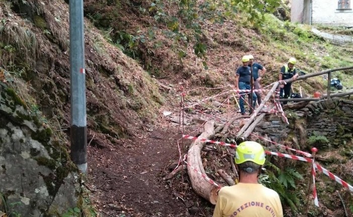 La mulattiera riaperta a Monteviasco grazie al grande lavoro della Protezione Civile (foto tratta da Luinonotizie.it) La mulattiera riaperta a Monteviasco grazie al grande lavoro della Protezione Civile (foto tratta da Luinonotizie.it)